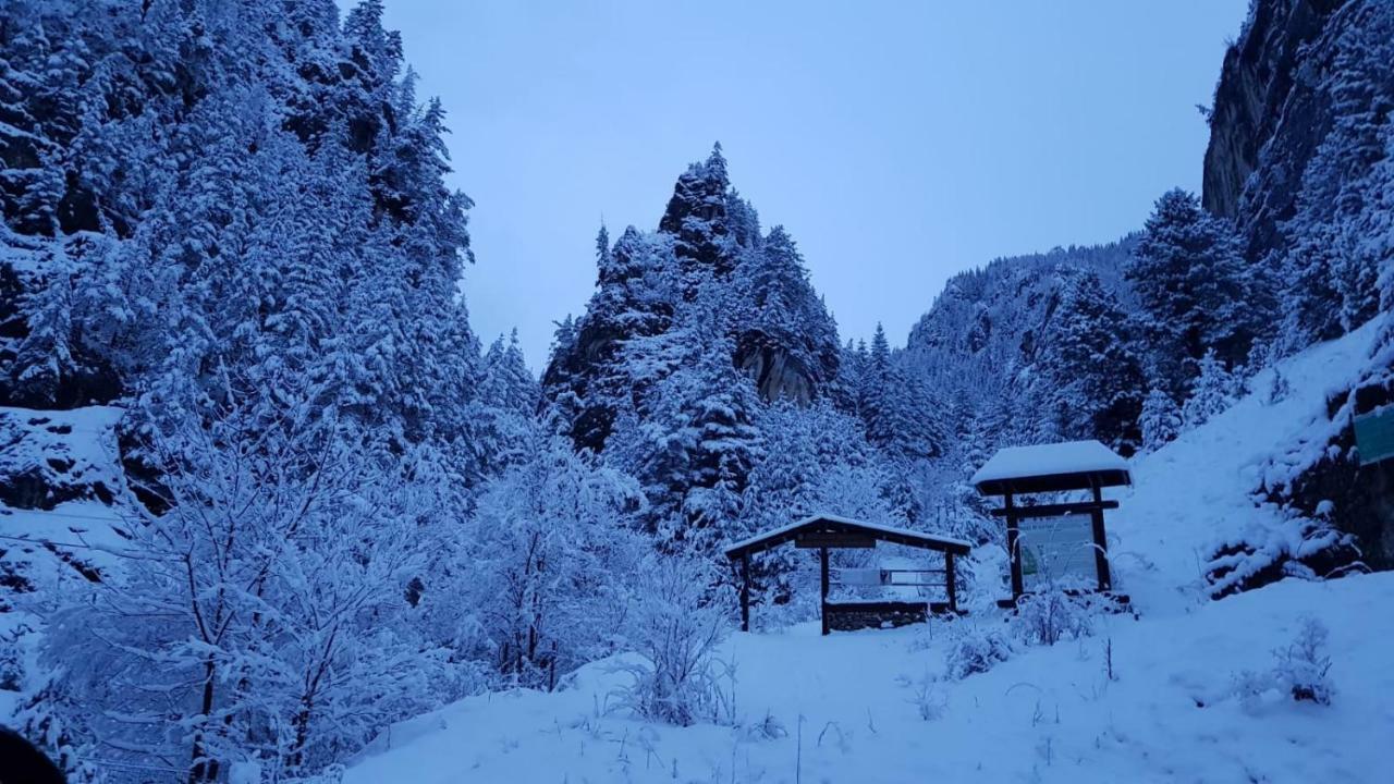 Casa Bicajeanului - Lacu Rosu Luaran gambar
